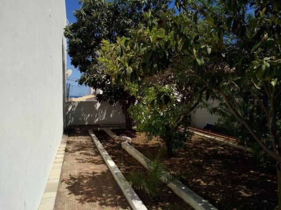 Villa Senhorial - Palace XIX & Privacy & Beach & Albufeira Old Town 外观 照片